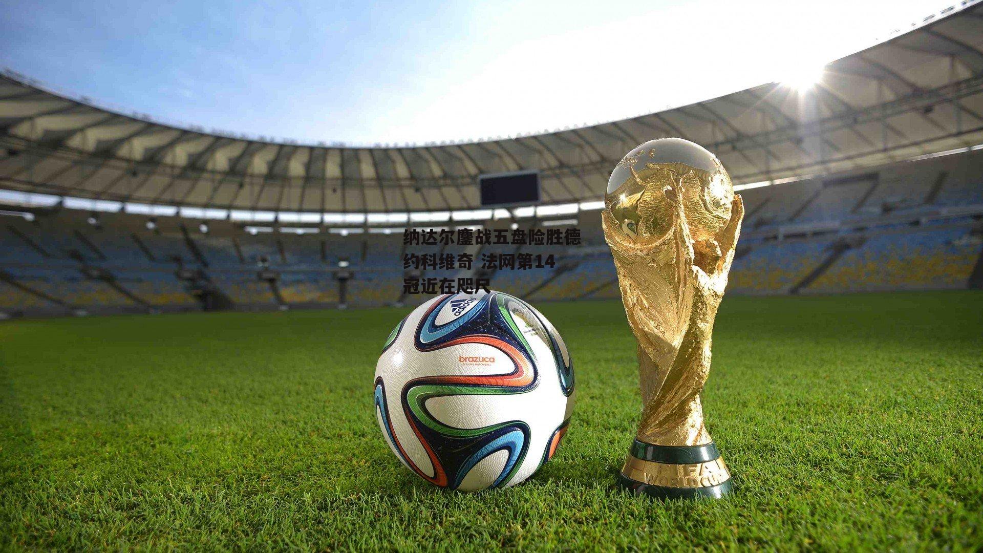 纳达尔鏖战五盘险胜德约科维奇 法网第14冠近在咫尺