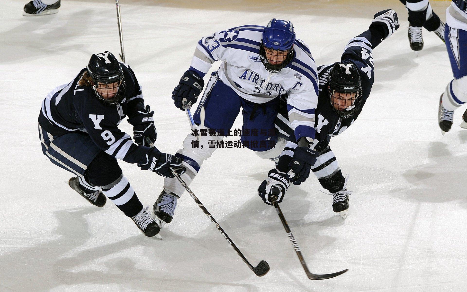 冰雪赛道上的速度与激情，雪橇运动再掀高潮-b体育官网